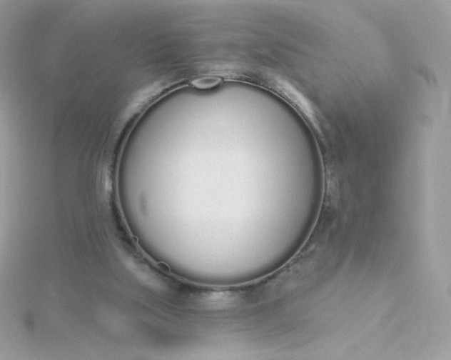 X0000115710059200911251904