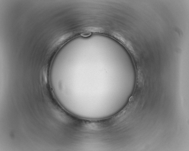 X0000115710062200911251905