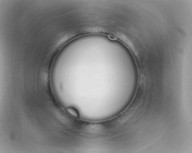 X0000115710063200911251905