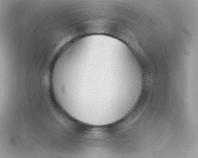 X0000115710064200911251905