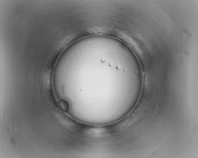 X0000115710065200911251905