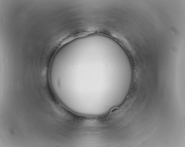 X0000115710066200911251905