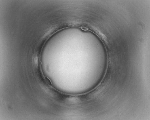 X0000115710067200911251905