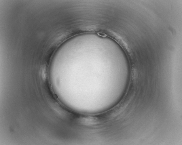 X0000115710069200911251905