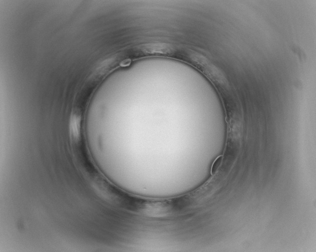 X0000115710070200911251905