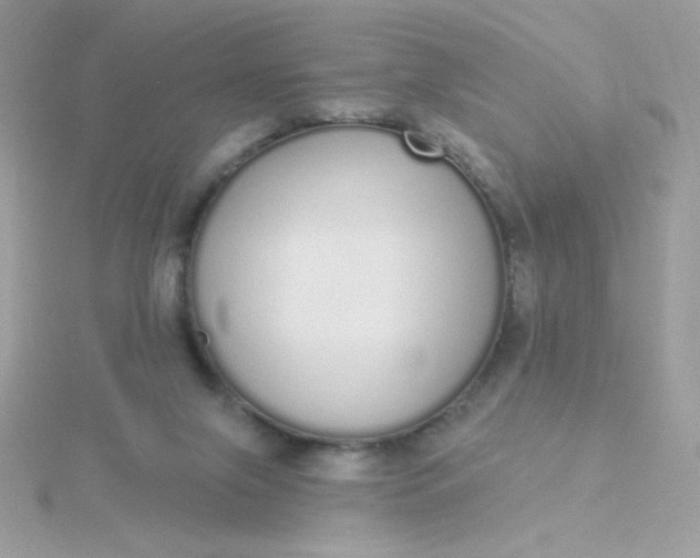 X0000115710071200911251905