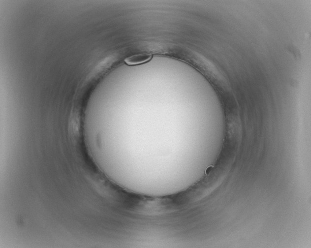 X0000115710072200911251905