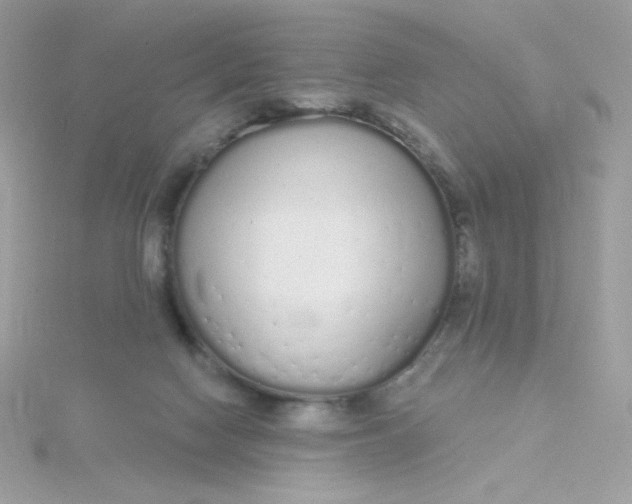 X0000115710074200911251905