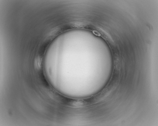 X0000115710075200911251905