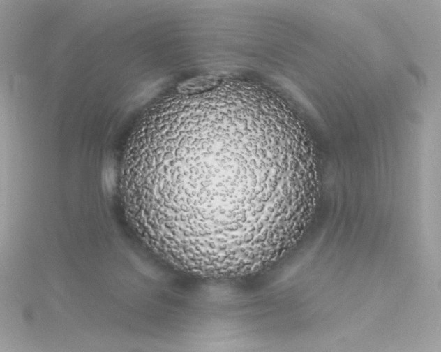 X0000115710076200911251905