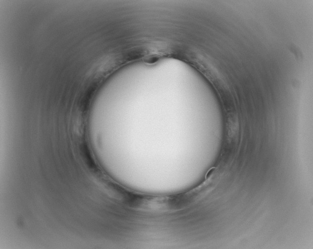 X0000115710078200911251905