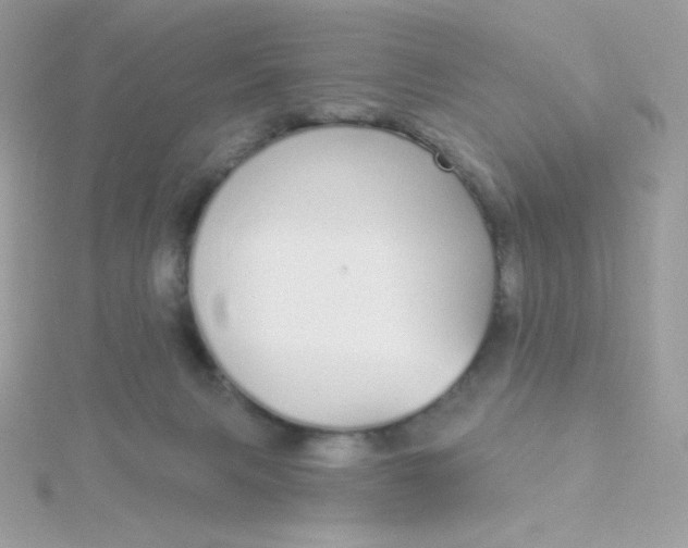 X0000115710079200911251905