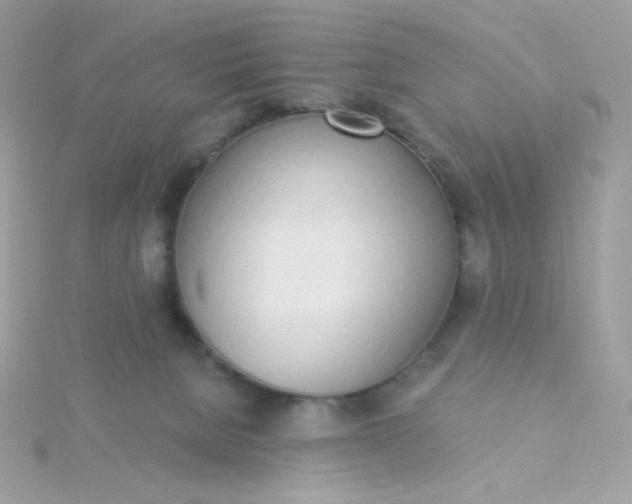 X0000115710080200911251905