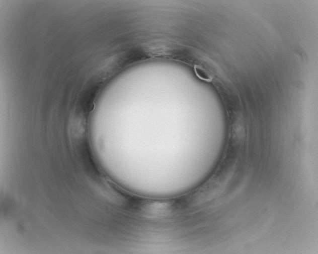 X0000115710081200911251905