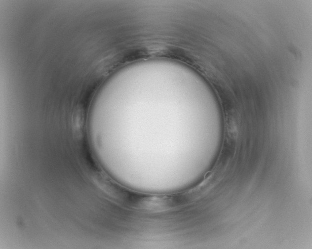 X0000115710082200911251905