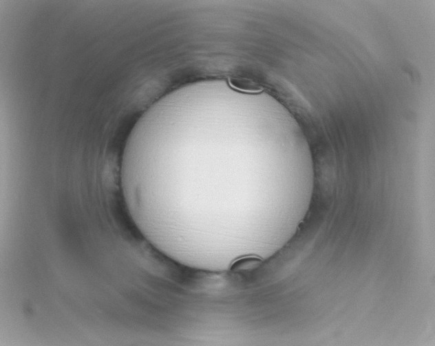 X0000115710083200911251905