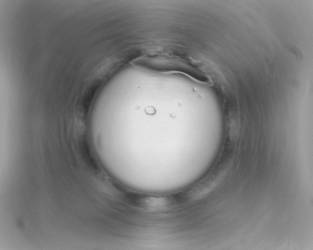 X0000115710085200911251905