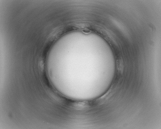 X0000115710086200911251905