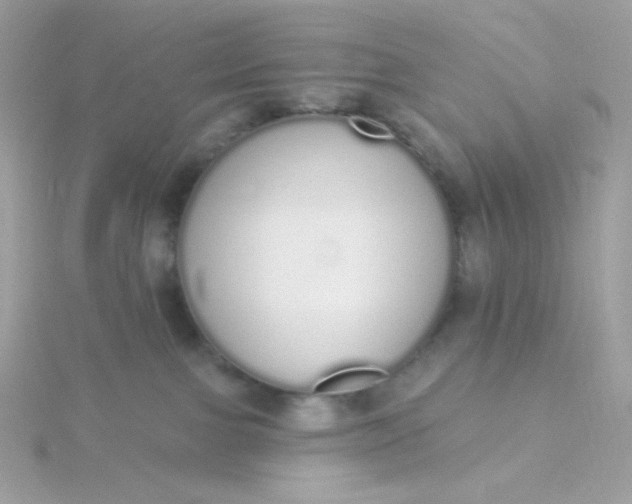 X0000115710091200911251905