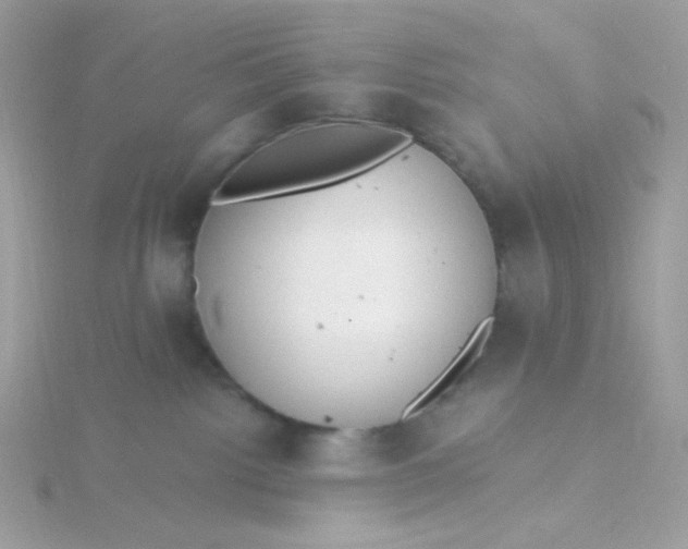 X0000115710092200911251905