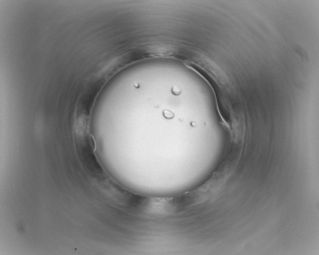 X0000115710093200911251905