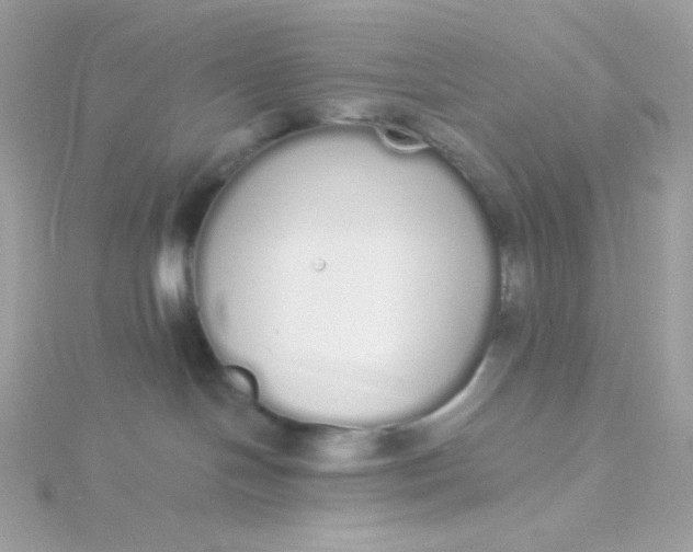 X0000115710094200911251905