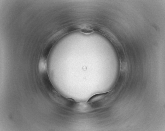 X0000115710095200911251905