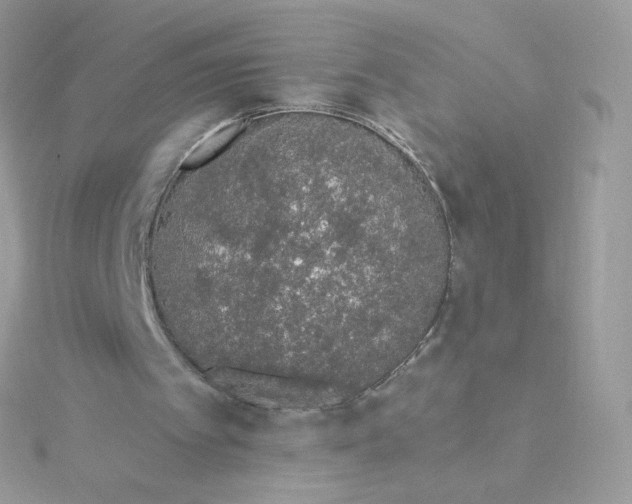 X0000115710097200911251904