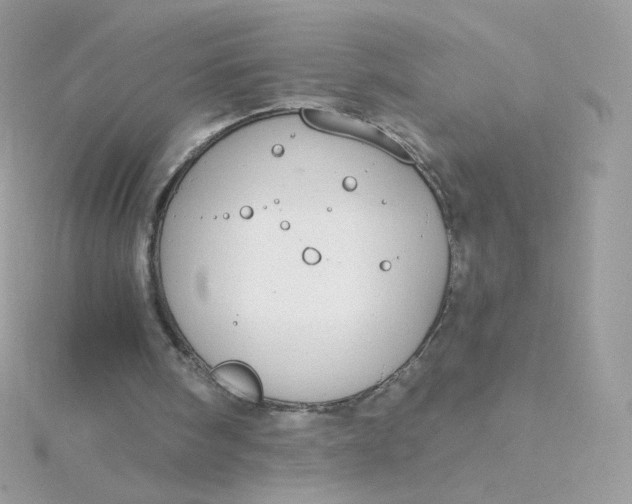 X0000115710098200911251904