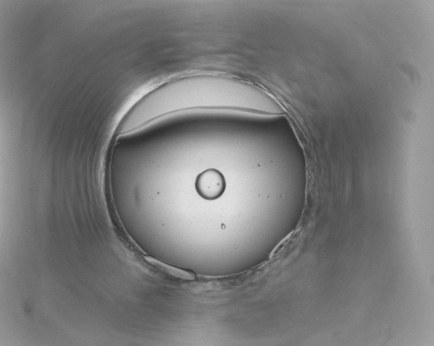 X0000115710100200911251904