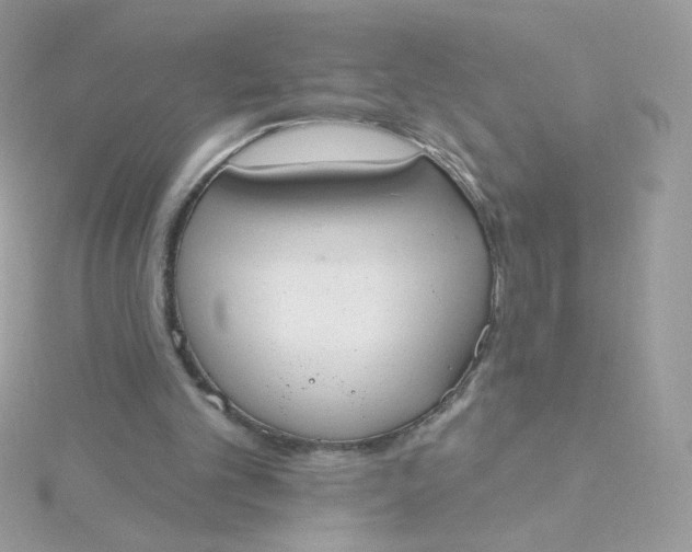 X0000115710101200911251904