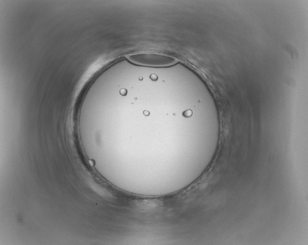 X0000115710102200911251904