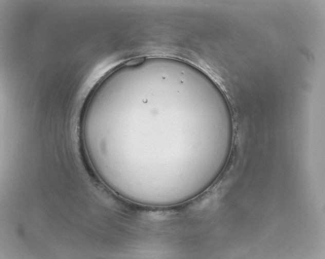 X0000115710103200911251904