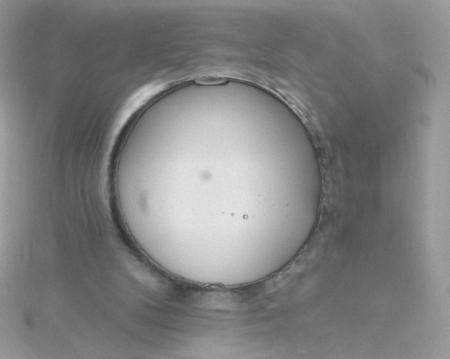 X0000115710104200911251904