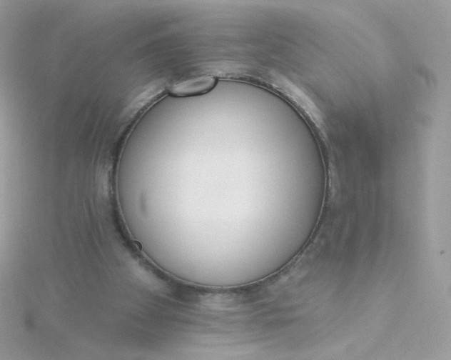 X0000115710105200911251904