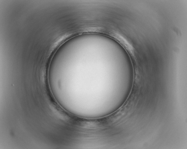 X0000115710107200911251904