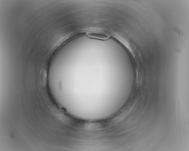 X0000115710109200911251904