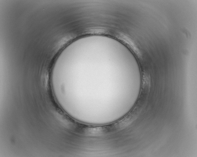 X0000115710110200911251904