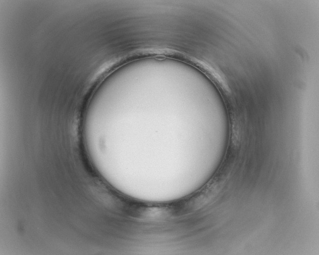 X0000115710111200911251904