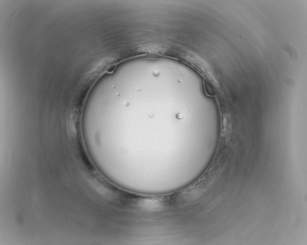 X0000115710114200911251904