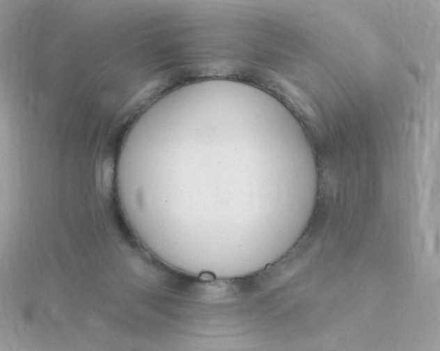 X0000115710118200911251904