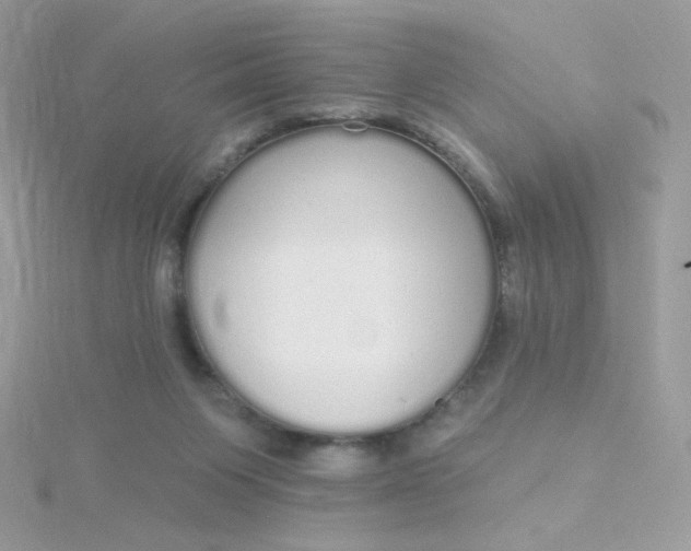 X0000115710119200911251904