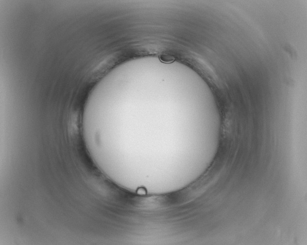 X0000115710122200911251904