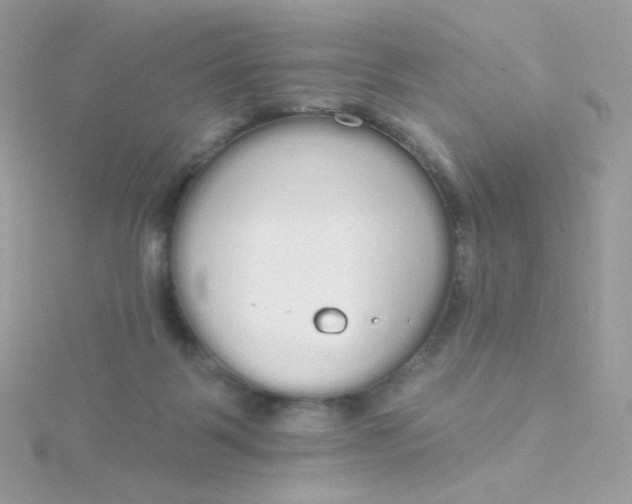 X0000115710123200911251904