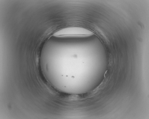 X0000115710124200911251904