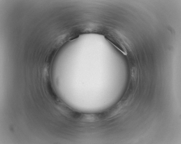 X0000115710127200911251904