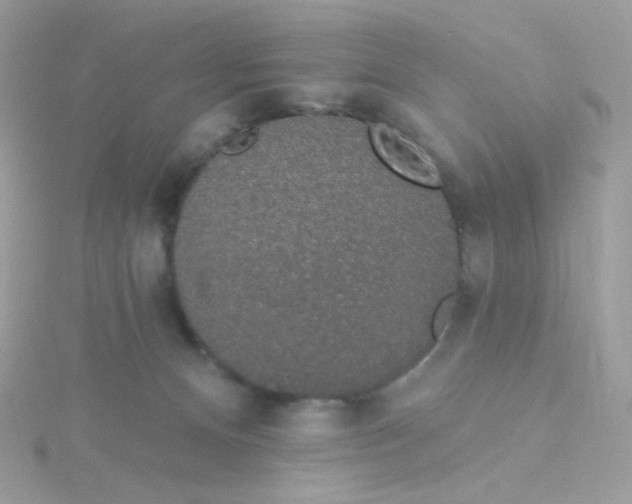 X0000115710128200911251904