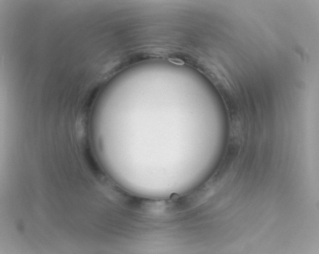 X0000115710131200911251904