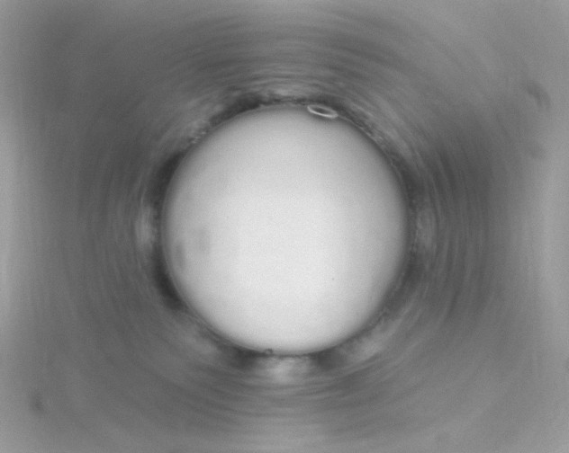 X0000115710135200911251904