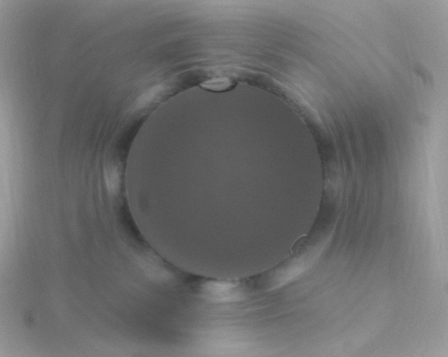 X0000115710139200911251904